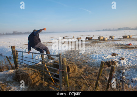 farmer in Holland Stock Photo