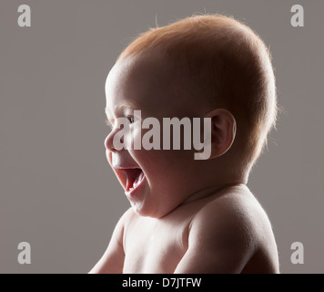 Studio shot portrait of baby boy (18-23 months) laughing Stock Photo