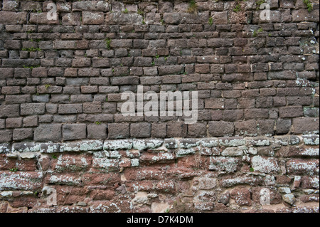 Part of old city wall in Exeter Devon England UK Stock Photo