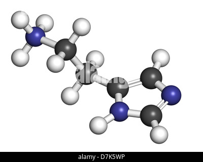 Histamine neurotransmitter, molecular model. Atoms are represented as spheres with conventional color coding Stock Photo