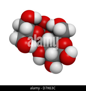 Maltose (maltobiose, malt sugar), molecular model. Atoms are represented as spheres with conventional color coding Stock Photo