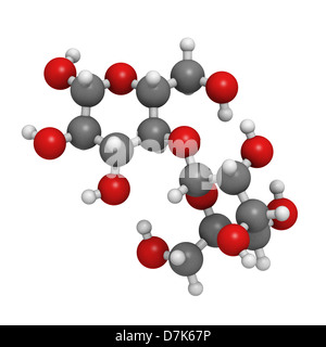 Maltose (maltobiose, malt sugar), molecular model. Atoms are represented as spheres with conventional color coding Stock Photo