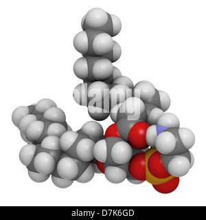 Phosphatidylethanolamine (PE) cell membrane building block, molecular model. PE is also important in blood clotting, coagulation Stock Photo