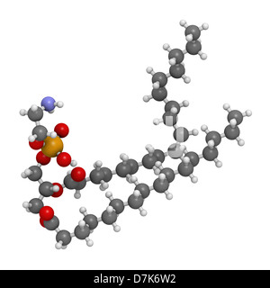 Palmitoyloleoylphosphatidylethanolamine (POPE) cell membrane building block, molecular model. Stock Photo