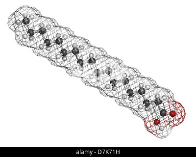 Stearic acid saturated fatty acid, molecular model. Atoms are represented as spheres with conventional color coding Stock Photo