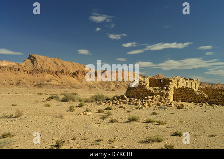 Oasis, Tozeur province, Tunisia Stock Photo