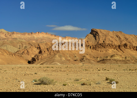 Oasis, Tozeur province, Tunisia Stock Photo