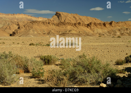 Oasis, Tozeur province, Tunisia Stock Photo