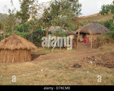 Thatched huts and trees in Masai village Stock Photo