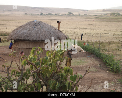 A thatched hut in Masai village in Serengeti park Stock Photo
