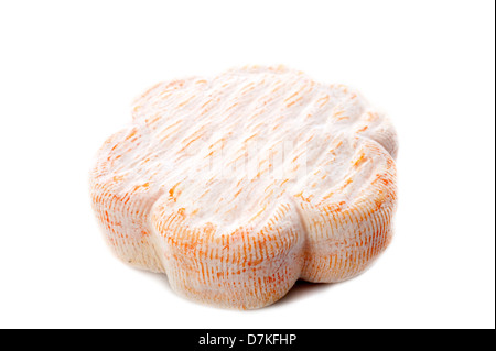 french cheese with pasteurized cow's milk in front of white background Stock Photo