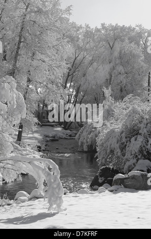 The vegetation surrounding a mountain river is coated in fresh snow, although the water in the river is free of ice. Stock Photo