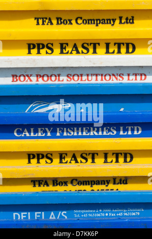 Close up of plastic fish storage boxes at the fishing harbour at Southwold Suffolk UK Stock Photo