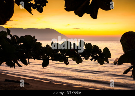 Caieira da Barra do Sul Beach at sunset. Stock Photo