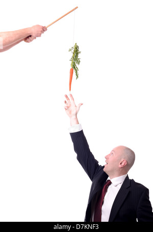motivation of dangling a carrot on a stick isolated on white Stock Photo