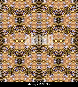 Repeating pattern made from image of Clipper Butterflies (Parthenos sylvia) underwing Stock Photo