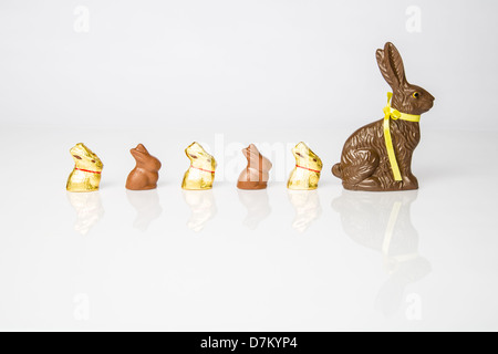 Large Chocolate Easter bunny with smaller chocolate bunnies lined up in a row. Studio Isolated on white with reflection. Part of a Series. Stock Photo