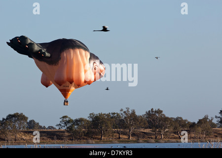 Skywhale a special shaped hot air balloon designed by renowned Australian artist, Patricia Piccinini for the Canberra Centenary. Stock Photo