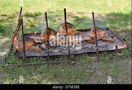 Carp on wooden fork baked over a fire in the countryside Stock Photo