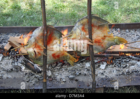 Fish on wooden fork baked over a fire in the countryside Stock Photo