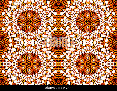 Repeating pattern made from image of Textile Cone shell (Conus textile) Stock Photo