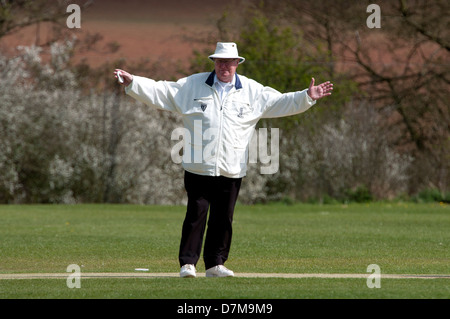 Cricket umpire signalling a wide ball. Stock Photo