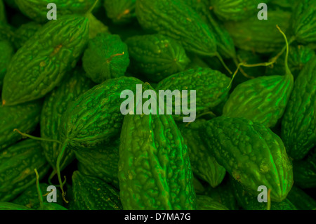 Fresh green raw bitter gourd Stock Photo