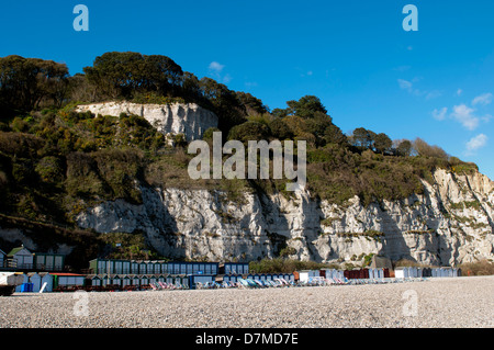 The beach and cliffs, Beer, Devon, England, UK Stock Photo