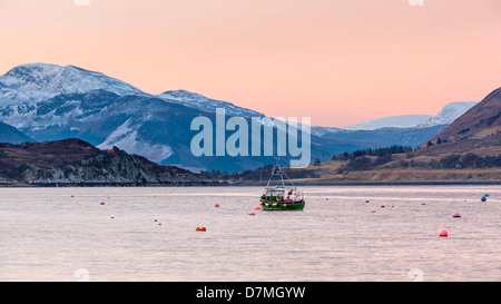 Fishing Boats moored on Loch Broom, Ullapool, Ross and Cromarty, Highland, Scotland, UK, Europe. Stock Photo