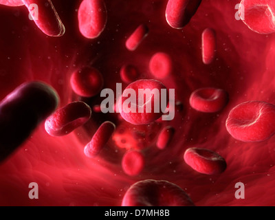 Blood stream, artwork Stock Photo