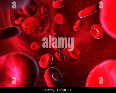 Blood stream, artwork Stock Photo