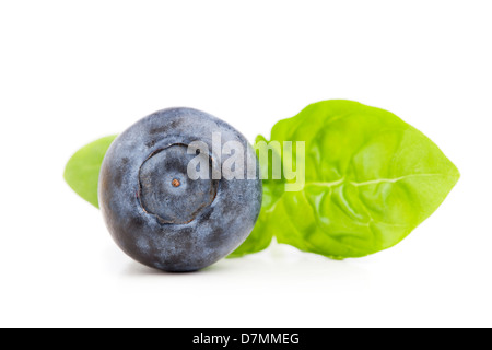 Blueberry and mint leaves Stock Photo