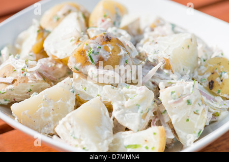 Potato Salad with shallots. Typical BBQ side dish. Stock Photo
