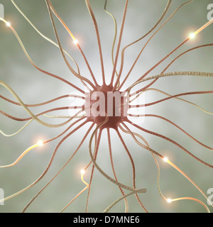 Nerve cell, artwork Stock Photo