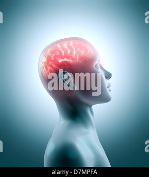 Human brain - side view blue 3d render isolated on white Stock Photo ...
