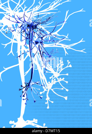 Neural network, conceptual artwork Stock Photo