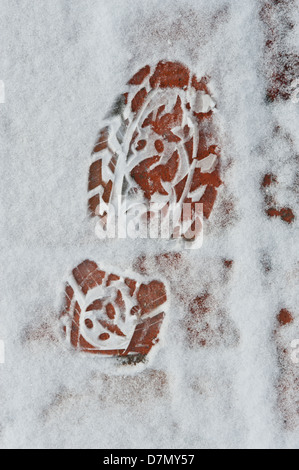 A large footprint in the snow stands out on an old brick walkway. Stock Photo
