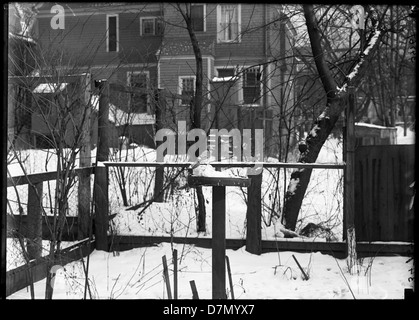 This image from the 1910s depicts houses in a Chicago neighborhood with a snowy backyard, capturing a peaceful winter scene in the Illinois landscape, featuring bluejays and other birds. Stock Photo