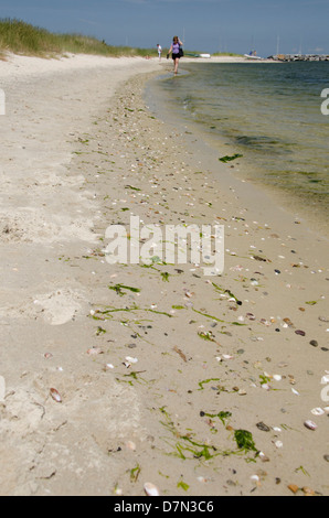 Beach at Vineyard Haven, Martha's Vineyard, Massachusetts, USA Stock