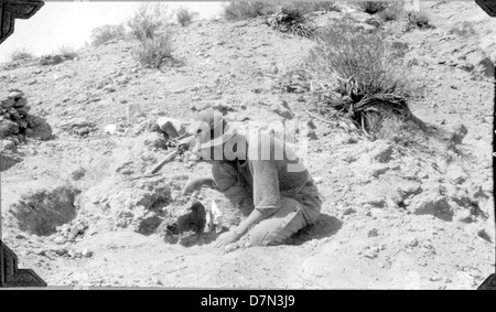 This image shows Elmer Riggs and his team packing fossils on a mule ...
