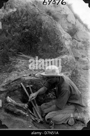 Fossil collectors Elmer Riggs and Felipe Mendez, part of the Marshall ...