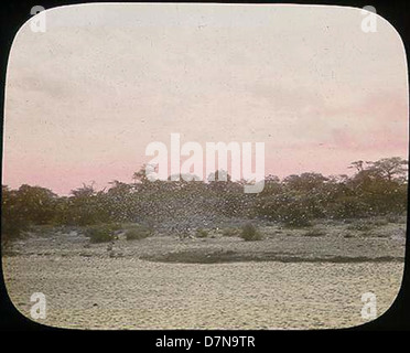 Carl Akeley led a zoological expedition in Uganda during 1905-1906 ...