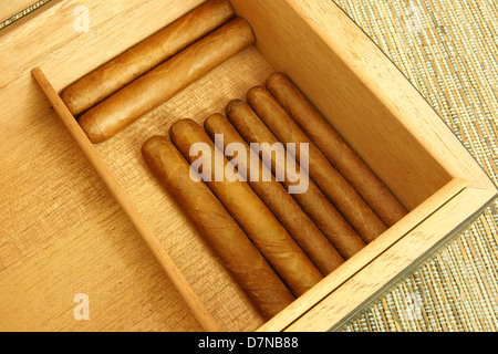 Collection of cigars in open humidor. Close-up. Stock Photo