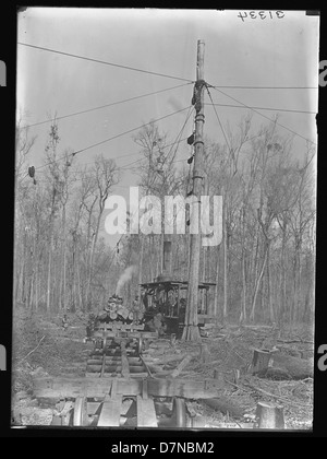 Steam skidder in swamp Stock Photo