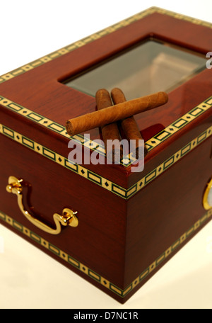Three cigars on a wooden humidor box Stock Photo