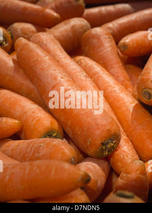 bin of carrots, farmer's market, New York City, USA Stock Photo