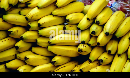 Banana is the common name for an edible fruit produced by several kinds of large herbaceous flowering plants of the genus Musa.[ Stock Photo