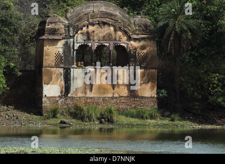 Royal Bengal Tiger against ancient palace and monument backdrop in Ranthambhore National Park in Rajasthan Stock Photo