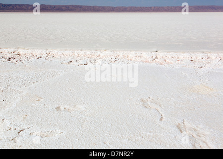 Chott El Jerid Salt Lake near Tozeur, Tunisia Stock Photo