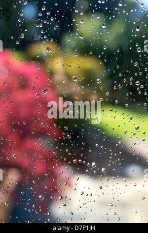 Sunlit garden through a raindrop covered window Stock Photo